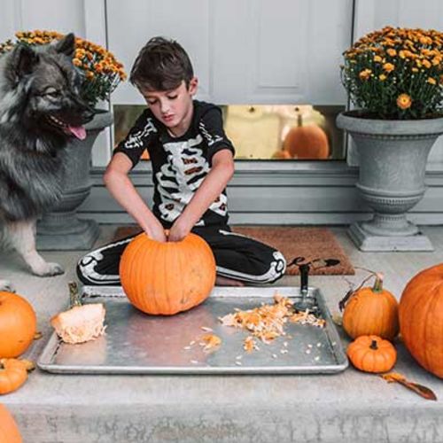4 Tips to Celebrate Halloween with Your Pet