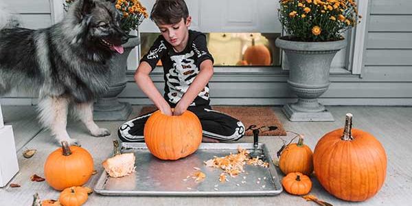 4 Tips to Celebrate Halloween with Your Pet