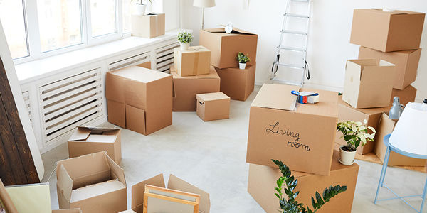 What Stays and What Goes in Real Estate?