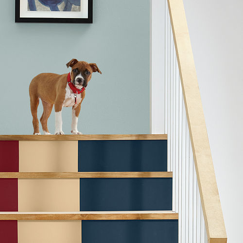 Discover Nature-Inspired Paint Trends for a Calming Home