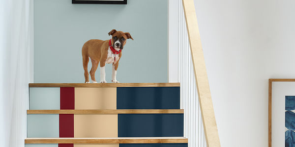 Discover Nature-Inspired Paint Trends for a Calming Home