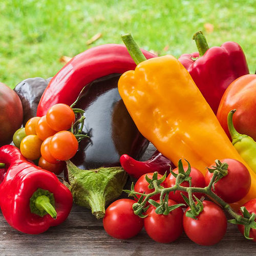 3 Fresh Trends to Inspire Your 2021 Garden