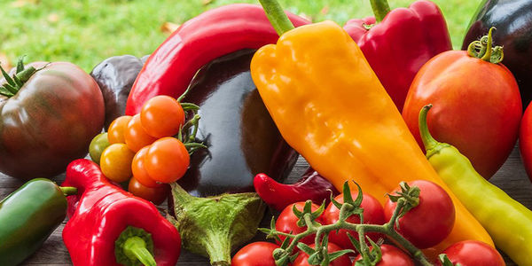 3 Fresh Trends to Inspire Your 2021 Garden