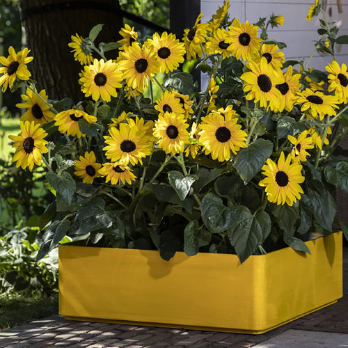 The future of gardening: Information and inspiration