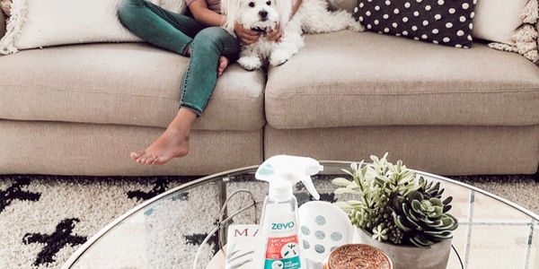 4 Ways to Prepare Your Home for Bug &hellip;
