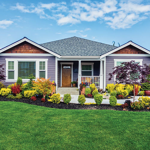 Spruce Up for Spring: Fresh Ideas for Home Upgrades