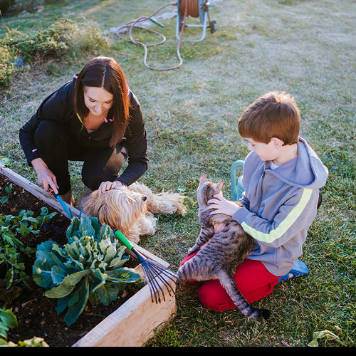 How and Why to Build a Raised Garden Bed This Season