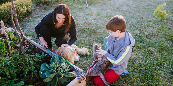 How and Why to Build a Raised Garden &hellip;