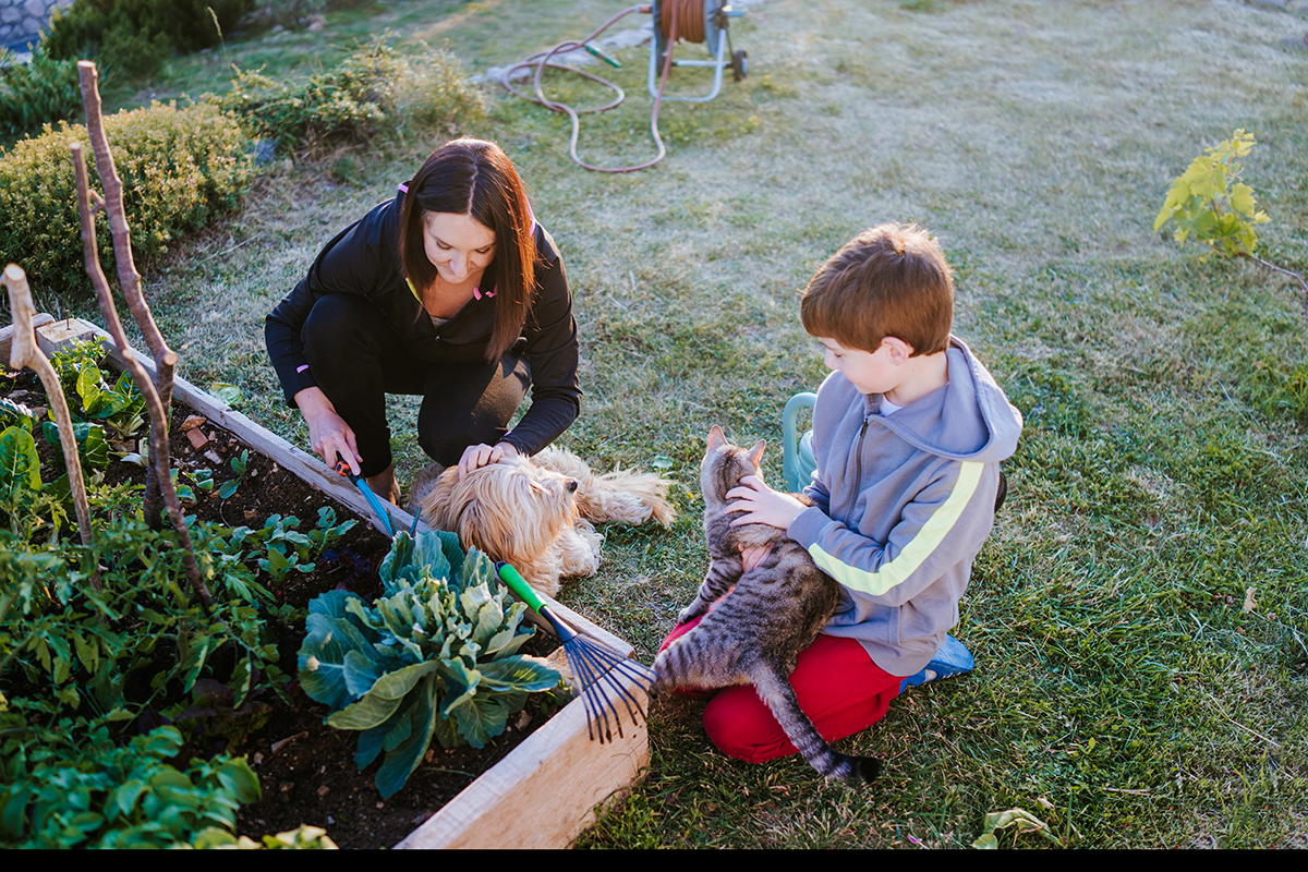 In the garden