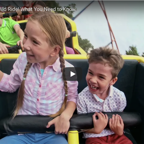 This Market is a Wild Ride! What You Need to Know