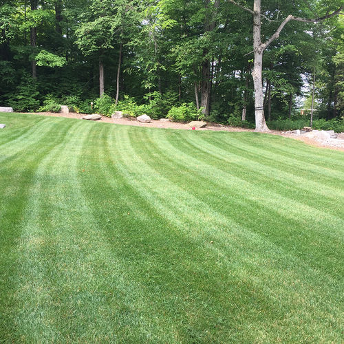 Are You Growing the Right Type of Grass?