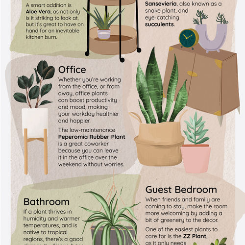 How and Where to Add Plants in Your Home