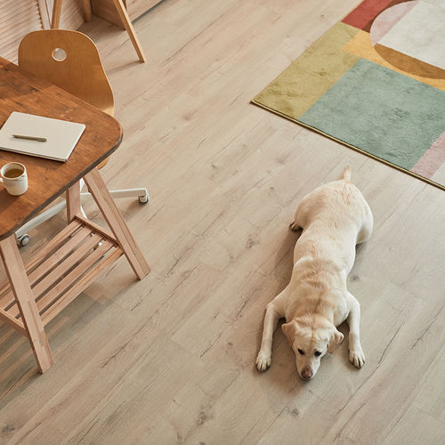 5 Tips for Keeping Hardwoods Handsome