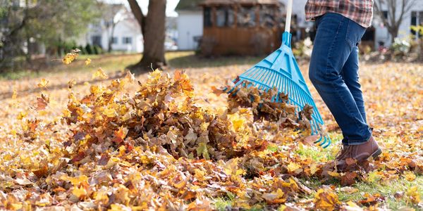 Fall Home Maintenance Tips 2021
