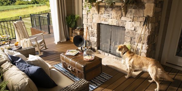 5 tips for a pet-friendly outdoor space