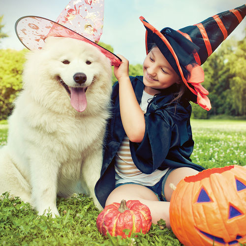 5 Tips to Safely Celebrate Halloween with Your Pets