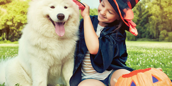 5 Tips to Safely Celebrate Halloween with Your &hellip;