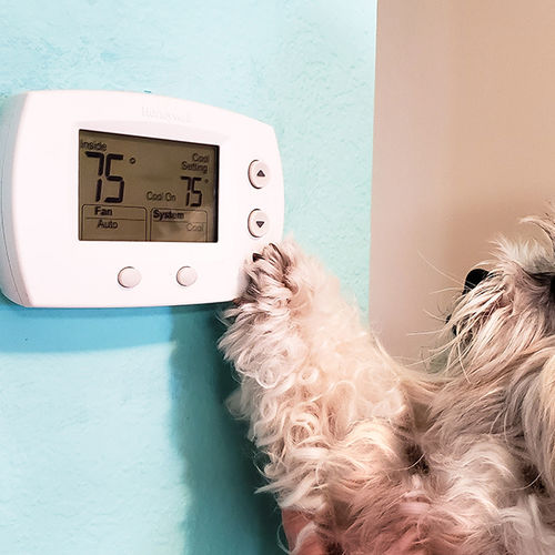 Annual Preventative Furnace Maintenance Tips
