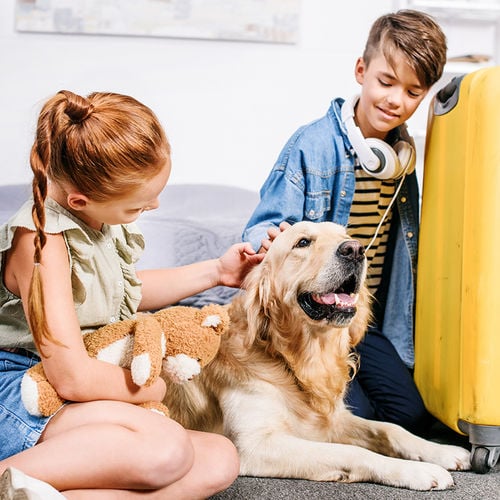 6 Tips for a Pet-Friendly Vacation