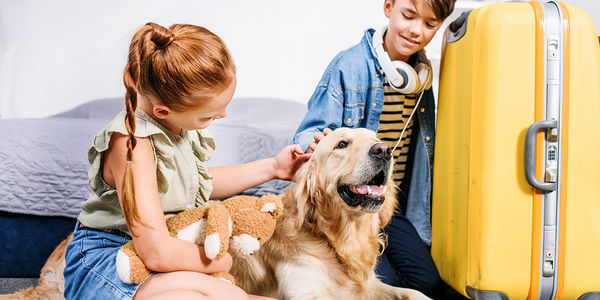 6 Tips for a Pet-Friendly Vacation