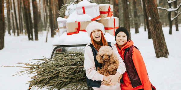 Make Safety a Priority for Holiday Travel