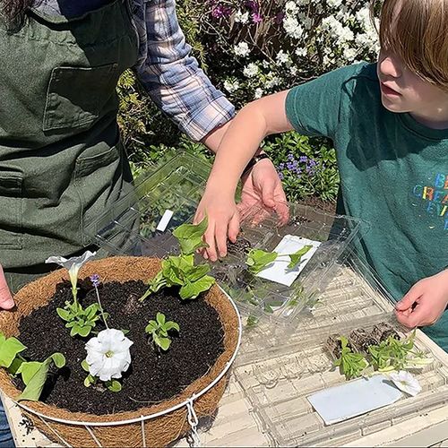 How to decide what kind of garden you want this year