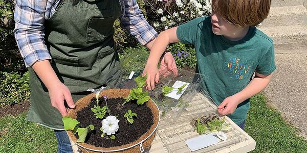 How to decide what kind of garden you &hellip;