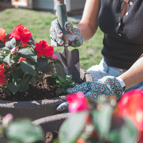 2022 Top Garden Trends and Expert Tips for Success