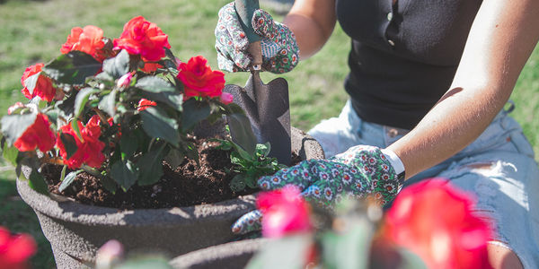 2022 Top Garden Trends and Expert Tips for &hellip;