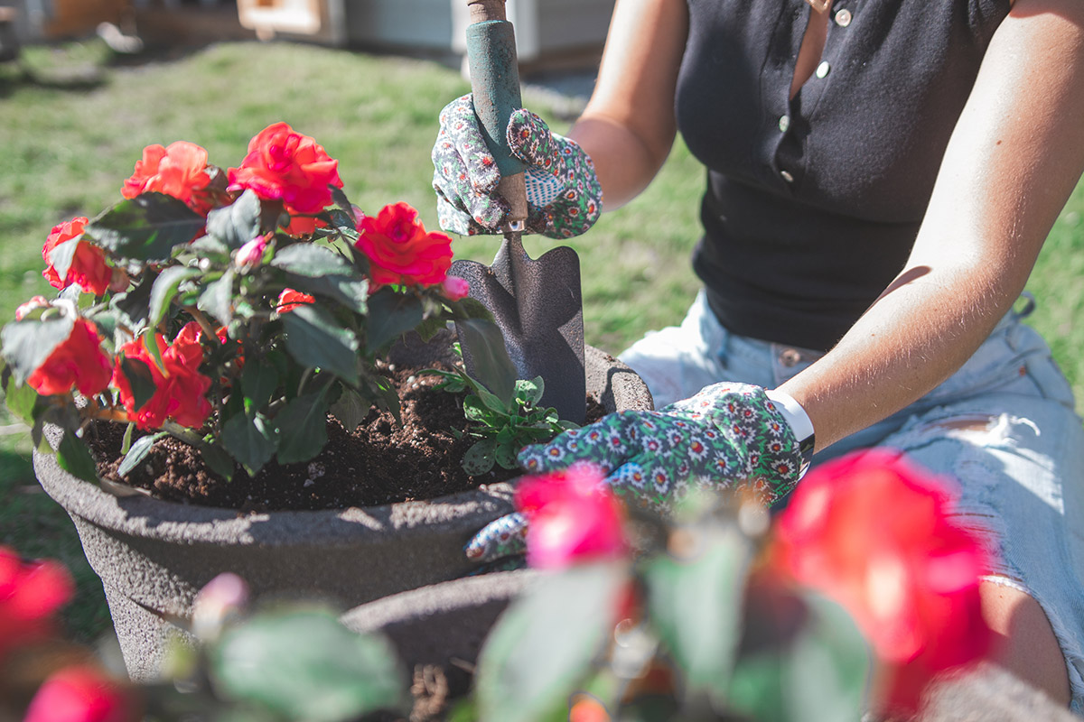 woman-gardening-and-planting-flowers-in-a-pot-during-spring_t20_LlxZO7