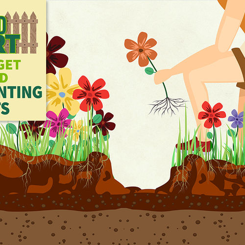 Tried-and-True Tips to Relocate Plants Like a Pro