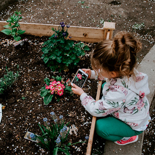 7 Frugal Gardening Tips and Tricks