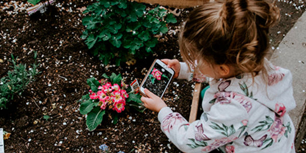 7 Frugal Gardening Tips and Tricks