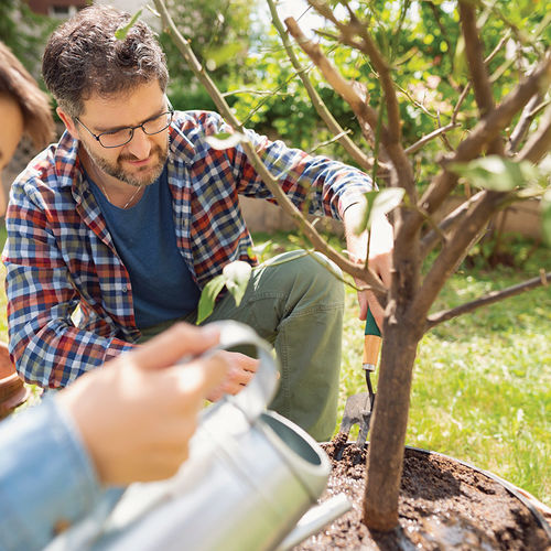 Tree Talk: 4 Tips for Planting Trees