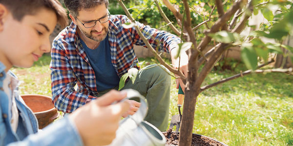 Tree Talk: 4 Tips for Planting Trees