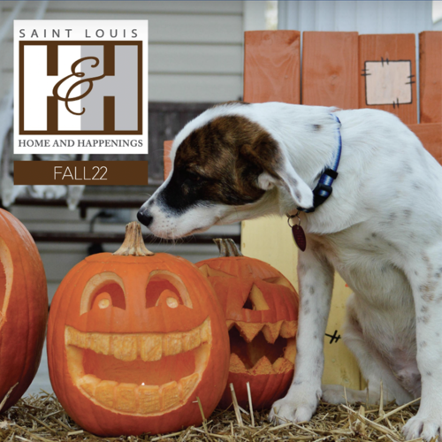 Fall 2022 St Louis Home and Happenings