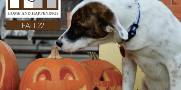 Fall 2022 St Louis Home and Happenings