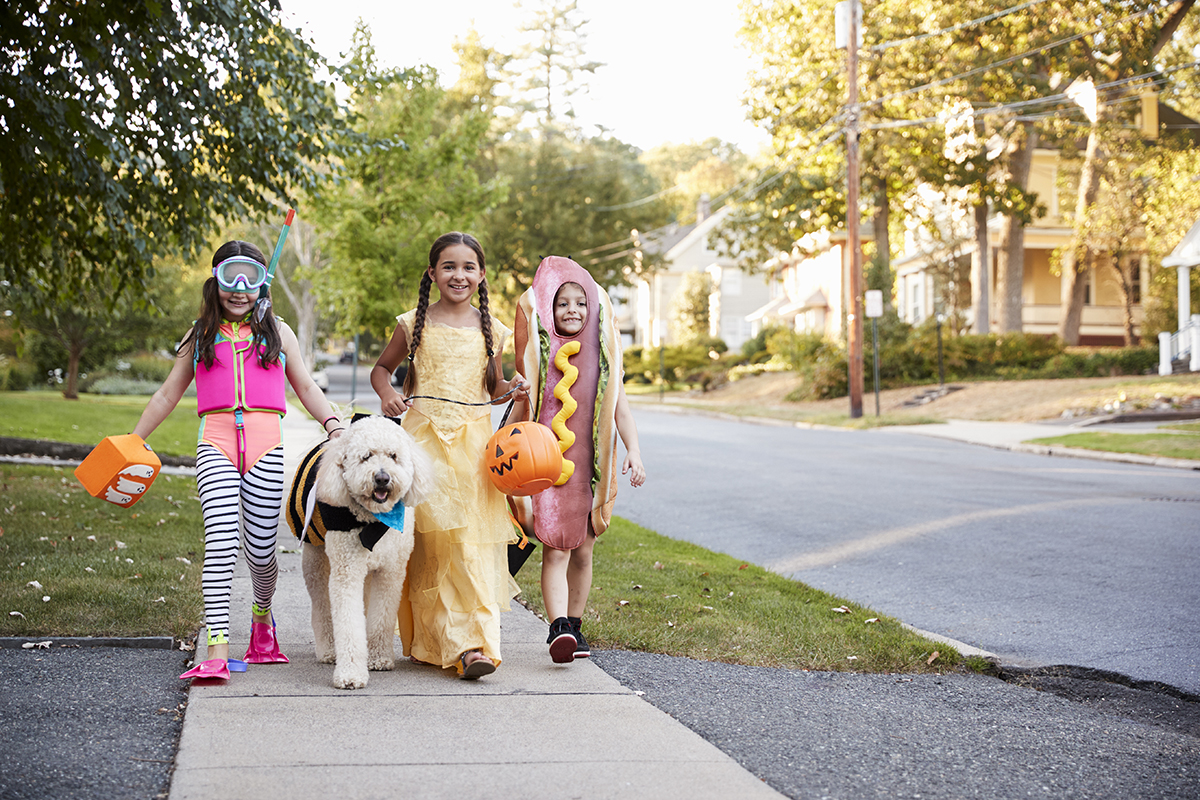 Children And Dog In Halloween Costumes For Trick Or Treating