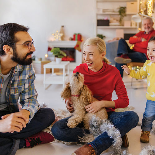 Recognizing Holiday Hazards: 5 Seasonal Safety Tips for Pet Owners