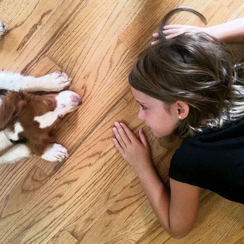 6 Tips to Keep Your Hardwood Floors Looking Great