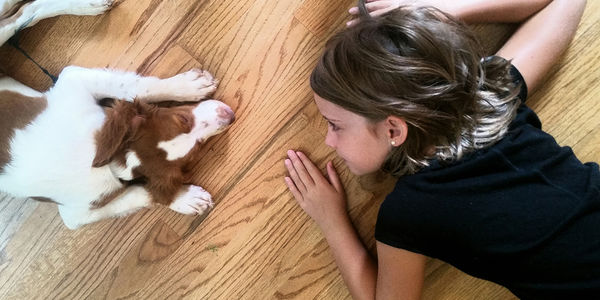 6 Tips to Keep Your Hardwood Floors Looking &hellip;