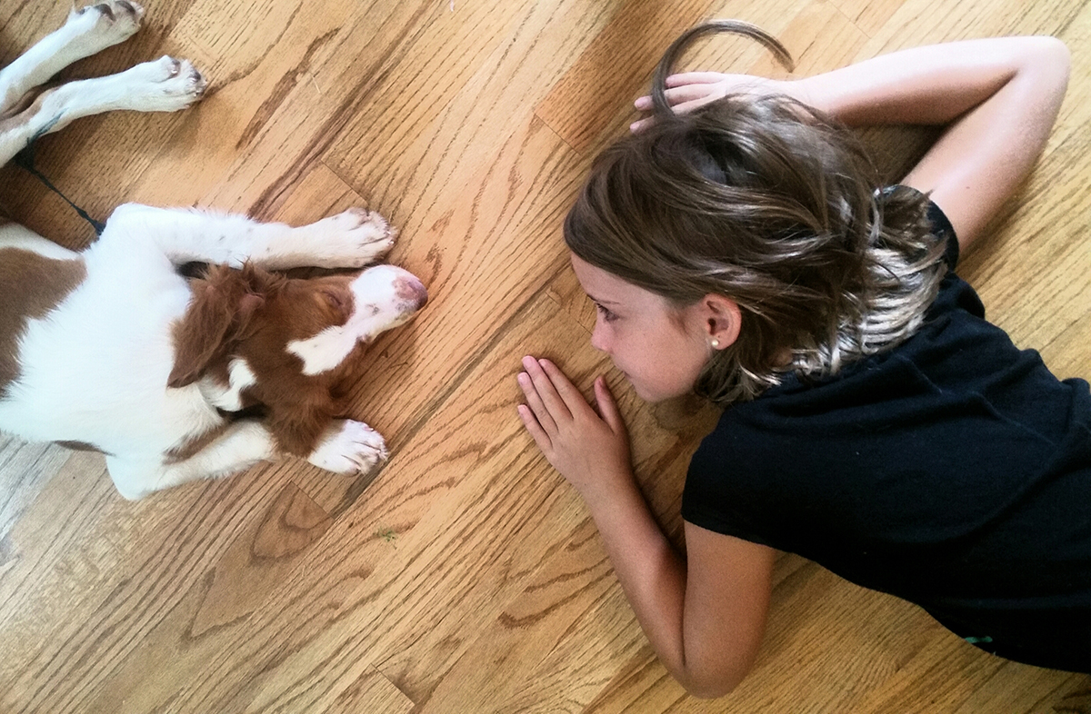 cute-kid-and-cute-dog-playing-i-spy-on-the-hardwoo-2022-11-12-09-54-10-utc