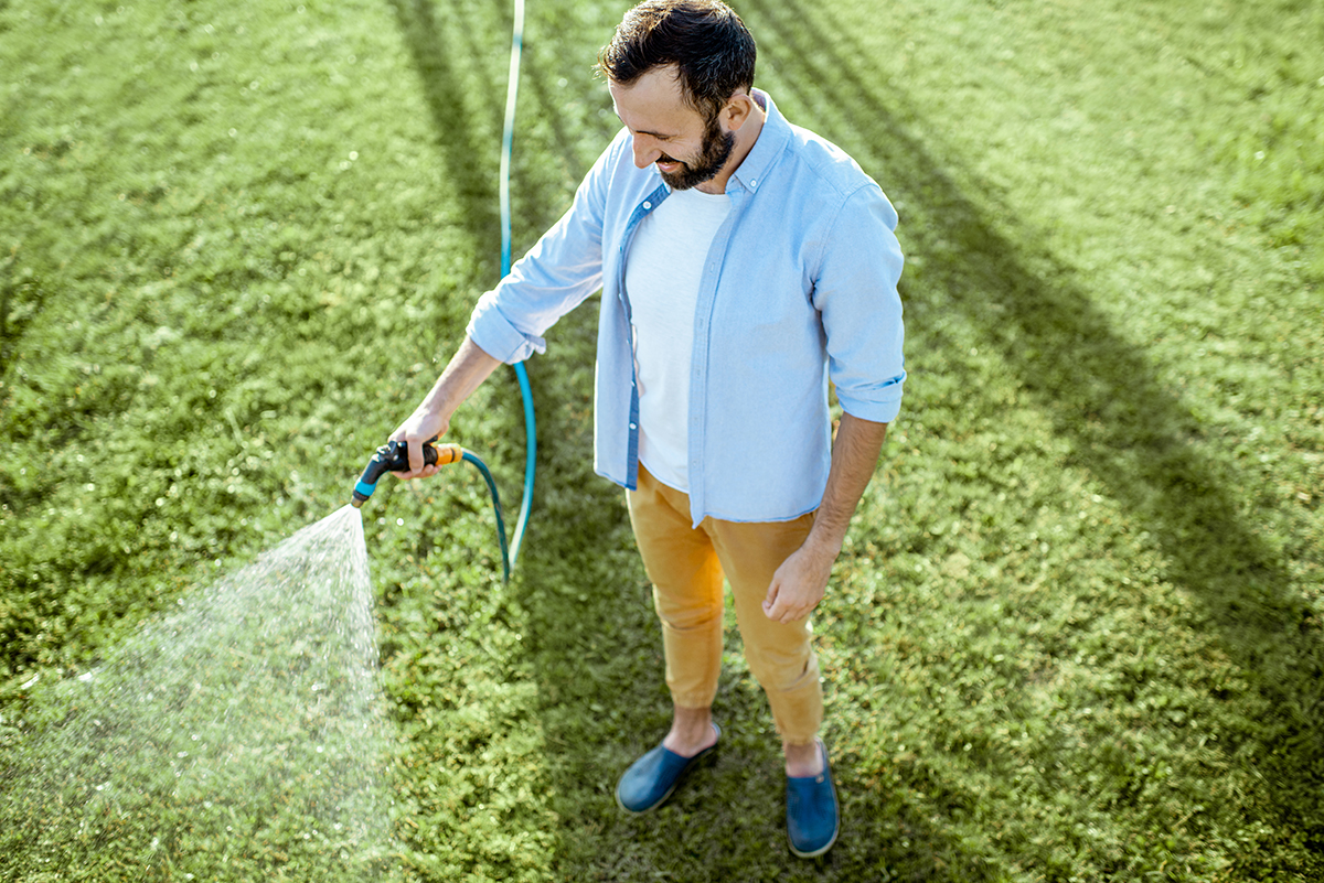Man watering green lawn