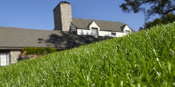 5 Common Lawn Care Mistakes