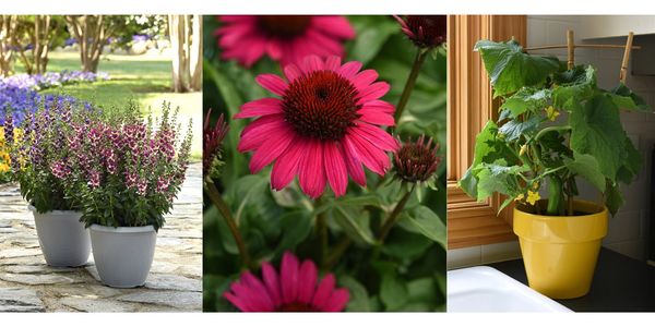 2023 Plant Trends