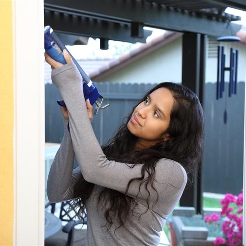 5 Ways Homeowners can Prepare for Summer Pests