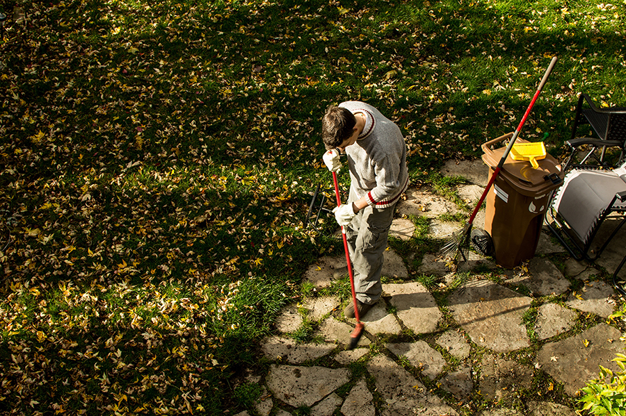 man-raking-leaves-on-sunny-autumn-day-in-back-yard-2022-11-01-07-00-23-utc
