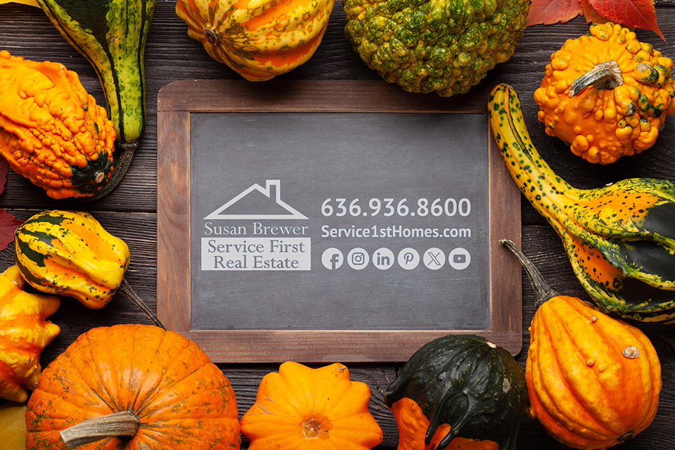 Various colorful squashes and pumpkins