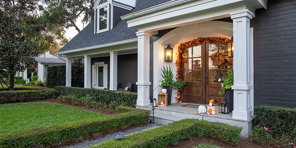 Look Out for Spooky Pests this Season