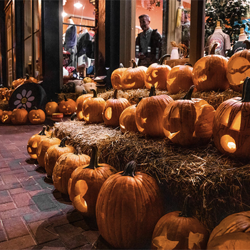 Fun Fall Events in Our Area - 2023